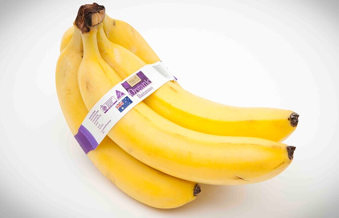 ElastiTag Band around banana bunch